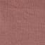New States Apparel Softstyle 3600 in Salmon