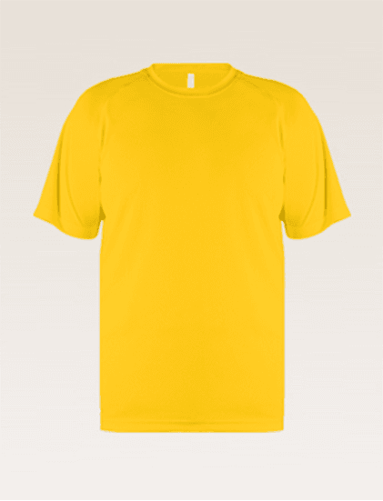 New States Apparel Dri-Fit T-shirt 2700