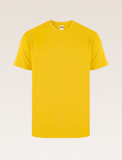 New States Apparel Softstyle 3600