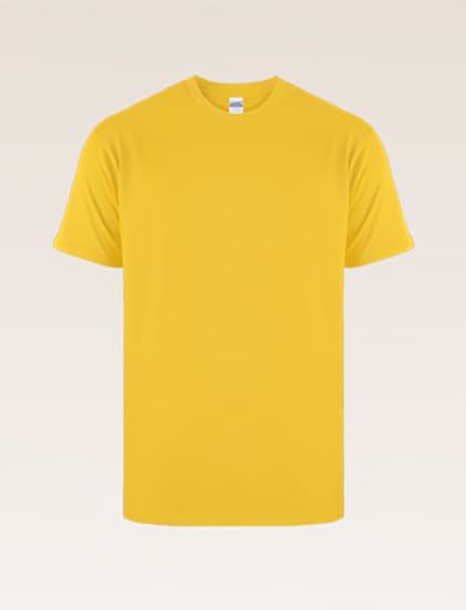 New States Apparel Heavyweight T-shirt 5400